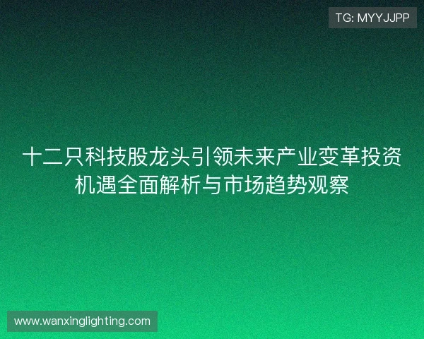 十二只科技股龙头引领未来产业变革投资机遇全面解析与市场趋势观察